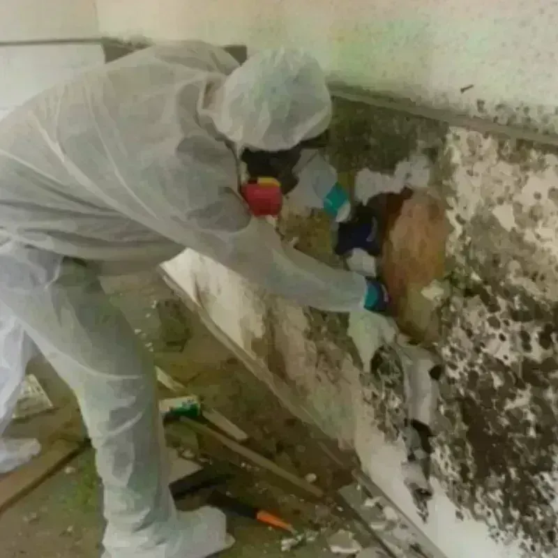 Mold Remediation and Removal in Powers Lake, WI