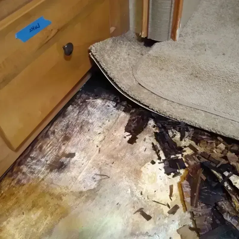 Wood Floor Water Damage in Powers Lake, WI